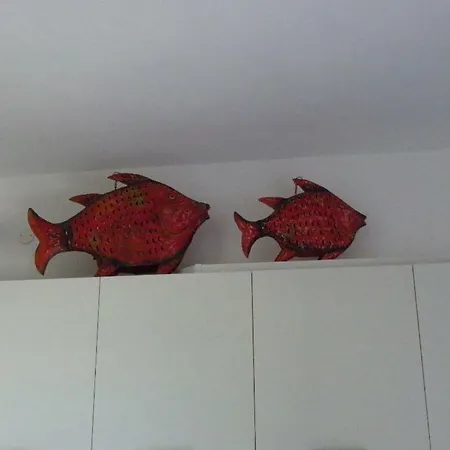 Appartement Boutique